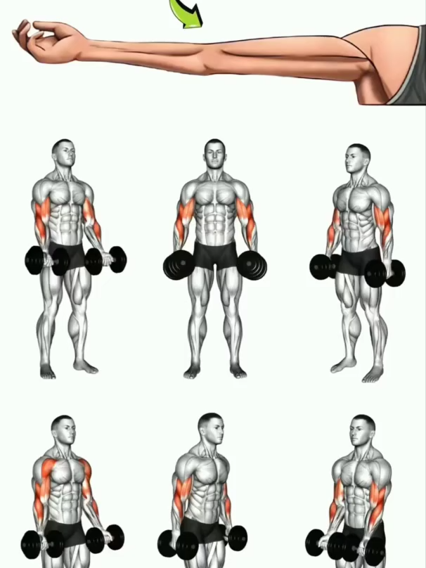 How To Grow Your Bigger Arms 💪🏼🔥 #GymTok #muscle #exercise #Fitness #workout #workoutroutine #workouttips #fit #fitnesstips #Biceps #Bicepsworkout #armworkout