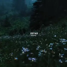 te sigo pensando 🤔💭Y . . . #rolitas #musica #lyricsvideo #themarias #letradecanciones 