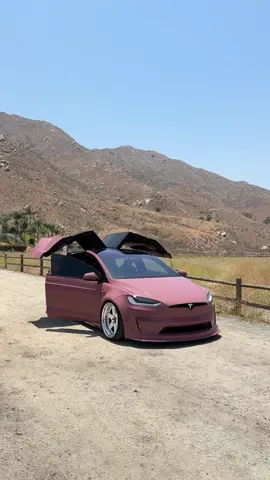 Not your average Model X 😳 #inozetek #vinylwrap #modelx #tesla #bagged