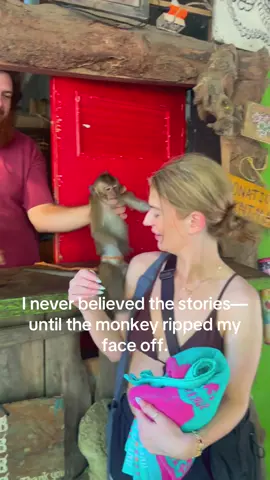 Never trust a monkey also why is the guy smiling the whole time   #jet2holidays #sofunny  #travel #thailand #monkey #scary #fyp 