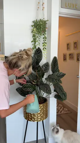 I mopped too but my phone ran out of battery so you’re just gonna have to take my word for it   🤨 #homereset #cleanwithme #chattyclean 