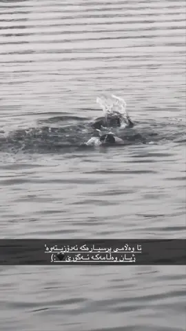 🖤, #fyp #foryoupage #foryou 