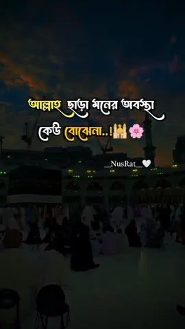 আল্লাহ ছাড়া মনের অবস্থা কেউ বোঝেনা-#foryour #foryoupage❤️❤️ #nusrat_jahan_803 #islamic_video 