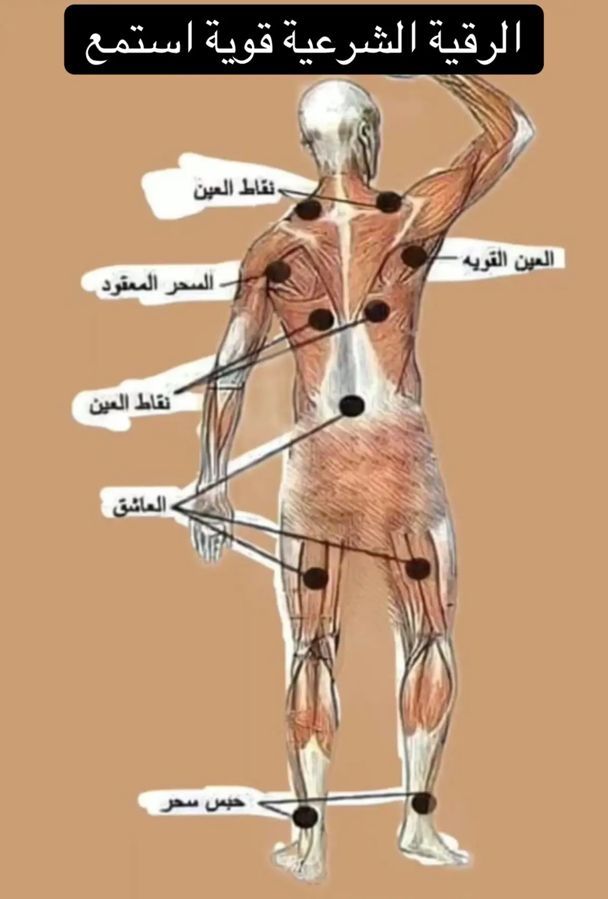 #الرقية_الشرعية #الرقية_الشرعية_من_الكتاب_والسنة #السحر #سحر #سحر #العين #الحسد #السحر_الحسد_العين_المس_العاشق #السحر_العين_الحسد #الشعوذة #مشعوذ #طلاسم #طلاسم_روحانية #المس #الامراض_الروحيه #الامراض_النفسية #الشفاء #اكسلبورر_explore 