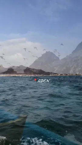 #عدن_المدينة_اللي_تغادرها_ولم_تغادرك🫠🍂.