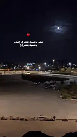• ملكت بيك الكون ♥️ #WelcomeWassouf  #fypシ゚  #explore  #ppppppppppppppppppppppp  #viral  #fouryou  #tiktok  #story  #music  #george  #music_official400 