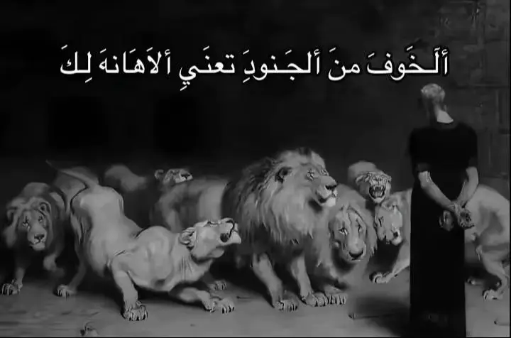 هااخفت.!💀#😂  #منين_شفتو_الفيديو😊😍  #كثرولنا_الاكسبلور_svp #تعليقاتكم✨ #وتفاعل #مالي_خلق_احط_هاشتاقات #لشعب_الصيني_ماله_حل😂😂 #صعدو_الفيديو #