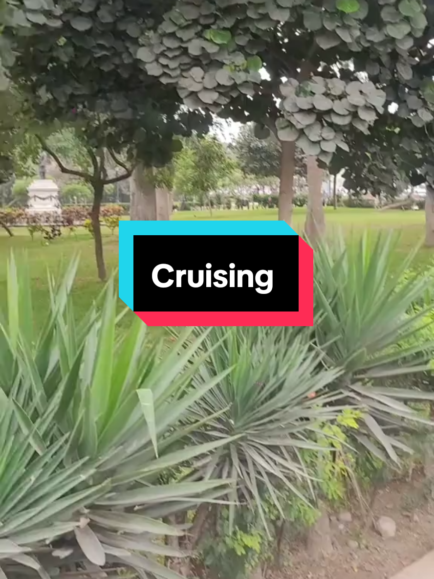 #cruising sing #parqueneptuno #centrodelima #lgtb 