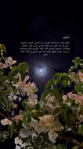 #يارب_فوضت_امري_اليك #قران #ماهرالمعيقلي 