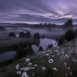 give me some rest… | дай мне отдохнуть… #ambient #dreamcore #dreamscape #slowcore #aesthetic 