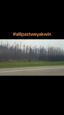 Finally getting to see the damage done passed Weyakwin  toward La Ronge, SK. Sadness 😔  #forestfires #damaged
