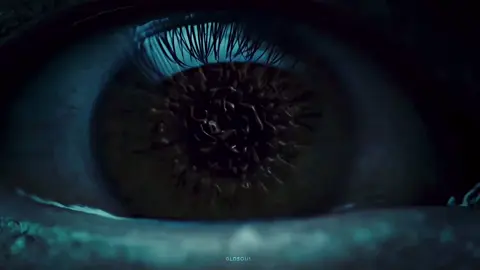 If perfection were a TV show#hannibal 