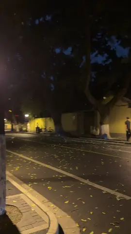 这个世界或许不会因为你的努力而感动， 但你的人生一定会因为你的不努力而遗憾。 Thế gian này có thể sẽ không vì bạn nỗ lực mà cảm động, nhưng cuộc đời bạn nhất định vì bạn không nỗ lực mà tiếc nuối. #trungquoc #thanhmai02112005 