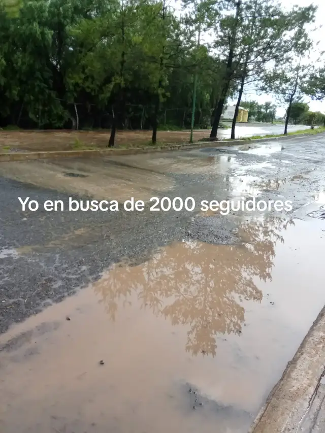#ayuda #seguidores #tesigocumplo🤞❤️💜💜💜💜 