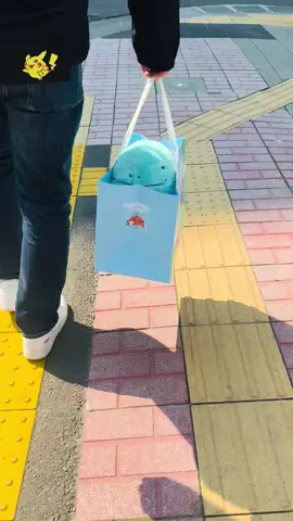 #ヌオー #Quagsire #ドオー #Clodsire #ポケモン #Pokemon #pokémon #ポケモン #ポケモンGO #ポケモン好きと繋がりたい#ハンドメイド #ぬい服 #レジン #ぬい撮り#ふわぬお #ぬい撮り#ヌオスタグラム