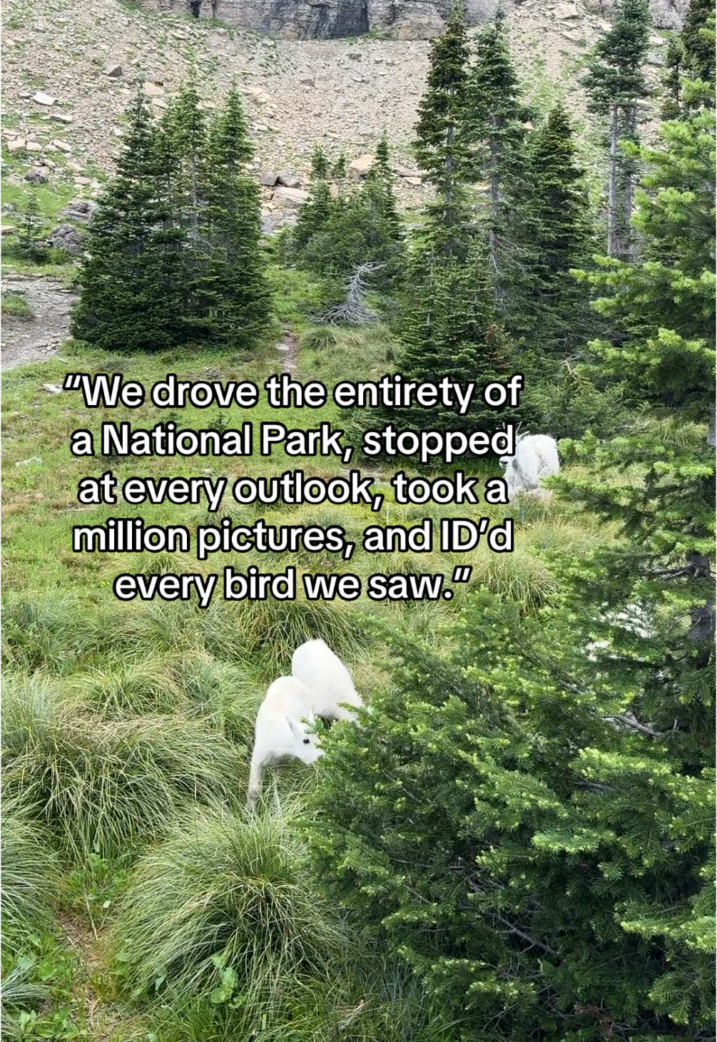 Glacier NP should be EVERYONE’S dream date 😍 #LoveIsland #mydreamdate #glaciernationalpark #montana #mountains #mountaingoats #granolagirl 