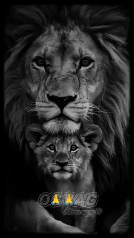 #моебогатство #🙏🙏 #дети - истинные сокровища #моймир #моидети 🫂🫂