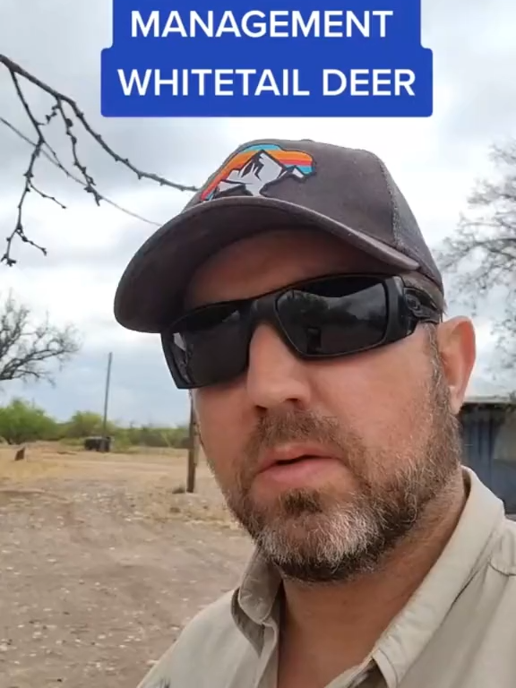 Whitetail management on high fence properties #highfence #hunter #whitetail #deer #ranching #jamesbigleyranches