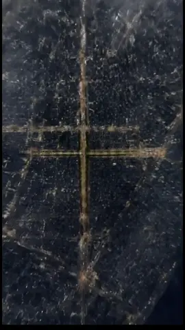 معهم بالترند 🏃🏻‍♂️