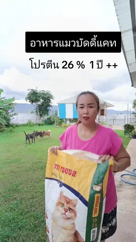 #อาหารแมว #อาหารแมวบัดดี้แคท #บัดดี้แคทรสปลาแซลม่อน #ทาสแมว #แก้วจ๋า_พารีวิว 