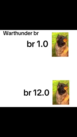 6.7 and 7.7 is just straight up hell 😭#warthunder 