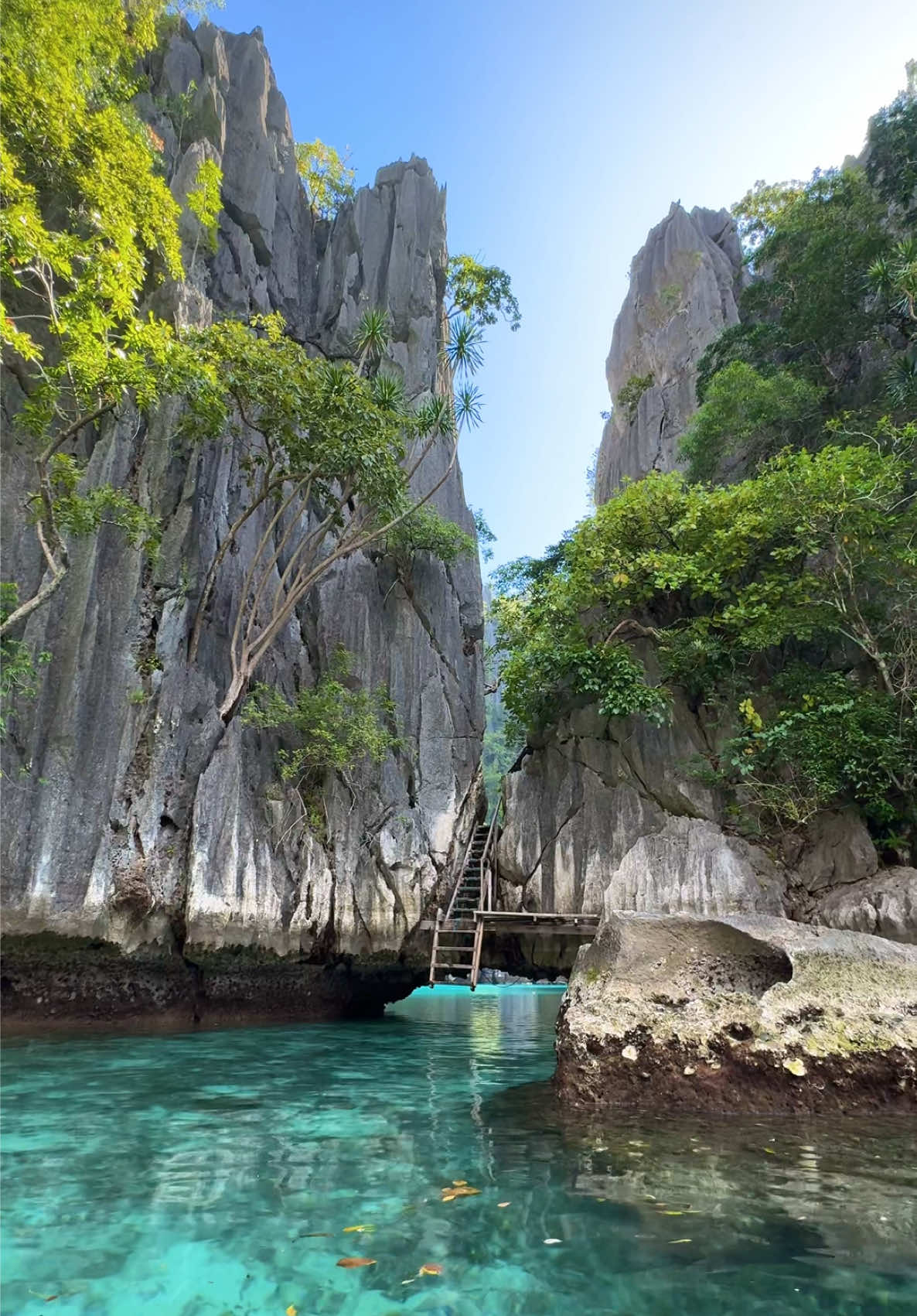 A pocket of paradise in Palawan Philippines. This location is the twin lagoon in Coron. #travel #fyp #nature #viral #philippines 