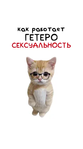 Как работает 🙀 #котятапоясняют #кот #киса