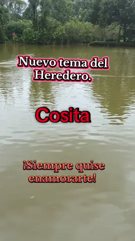 #♥️♥️♥️♥️♥️#♥️♥️♥️ 
