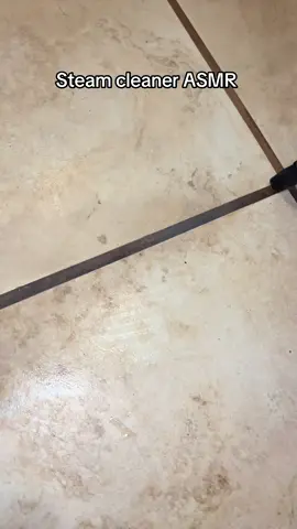 Cleaning with no toxic chemicals! So much better for me, and my pets 🥹