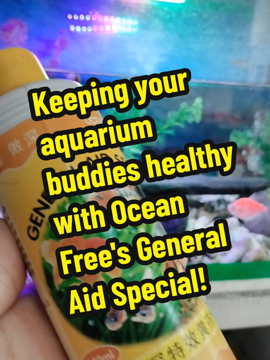 Keeping my aquarium buddies healthy with Ocean Free's General Aid Special!  This medicine is a lifesaver for treating various fish ailments.  Highly recommend! 👍  #aquarium #fishkeeping #fishmedicine #oceanfree #generalaidspecial #fishhealth #healthyfish #aquariumlife #bettafish #goldfish #tropicalfish #aquaticlife #fishcare #philippines