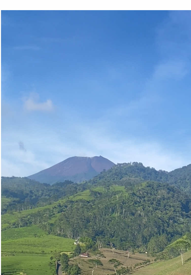 #fyp #kaligua #brebes #brebes24jam 