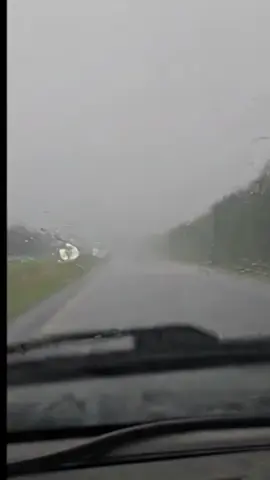 driving down the freeway in Louisiana and My dash cam caught This weird bug. 😳 #travel #Louisiana #batonrouge #creatures #weather #storm #driving #travel #hurricane #weirdcreatures 