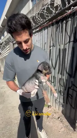 Mais um resgate, dessa linda folilhote com sarna e abandonada… #filhote #cachorro #resgate #amor #pet #salva #melhoramigo 