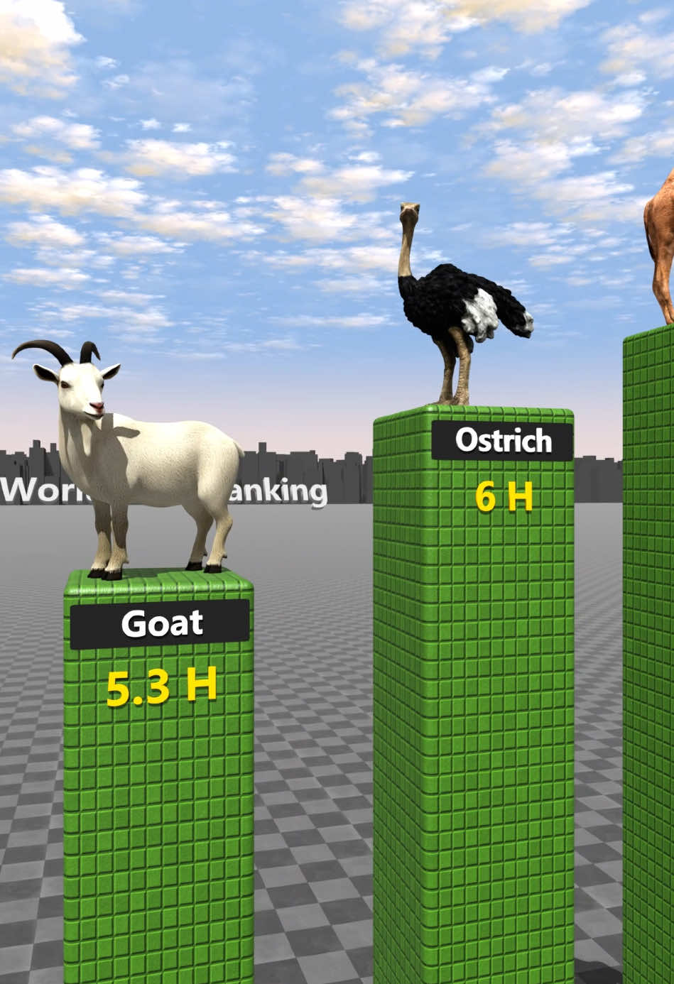 Comparison of animals with the longest sleep time#usa #usa🇺🇸 #world #global #ranking #data #country #animal #animals 