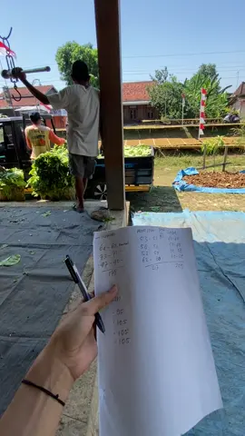 Panen mbako  #panen #tembakau 