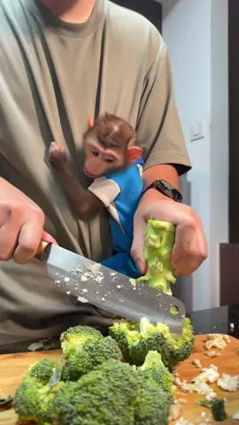BiBi’s first time trying pork and broccoli  #monkey #pets #viral 