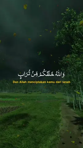 والله خلقكم من تراب ثم من نطفة ثم جعلكم أزواج #foryou #CapCut #الشيخ_علي_المياحي #الشيخ_محمد_المنشاوي 