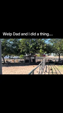 #8horsetrailer #newtoy #shehuge #alltheroom #fyp #foryou #hauling #ram #sundowner #trailer @ramtrucks