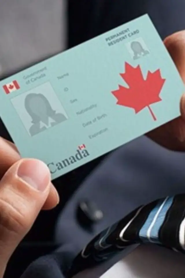 fully registered Canadian License🇨🇦 No theory or practical test needed 💯 WhatsApp us: +1 805-552-6916 #indiansincanada #indiansincanada🤩 #indiansinmontreal 