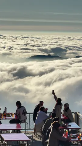 Sikunir Pagi ini  #homestaydieng #villaatasawan #penginapandieng #penginapandieng #jeepdiengmurah #pesonaindonesia #traveltiktok #eksplordieng #sikunirsunrise 