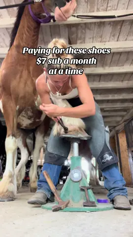 So thankful for my fans #itsamandalee 