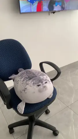 Bé nhồi bông hải cẩu êm êm mềm mềm mịn mịn dễ thương cưng sỉu luôn#dodungtienich #haicaune🦭 #dochoithongminh #xuhuong #lenxuhuong #mebimsua #dodungtienich 