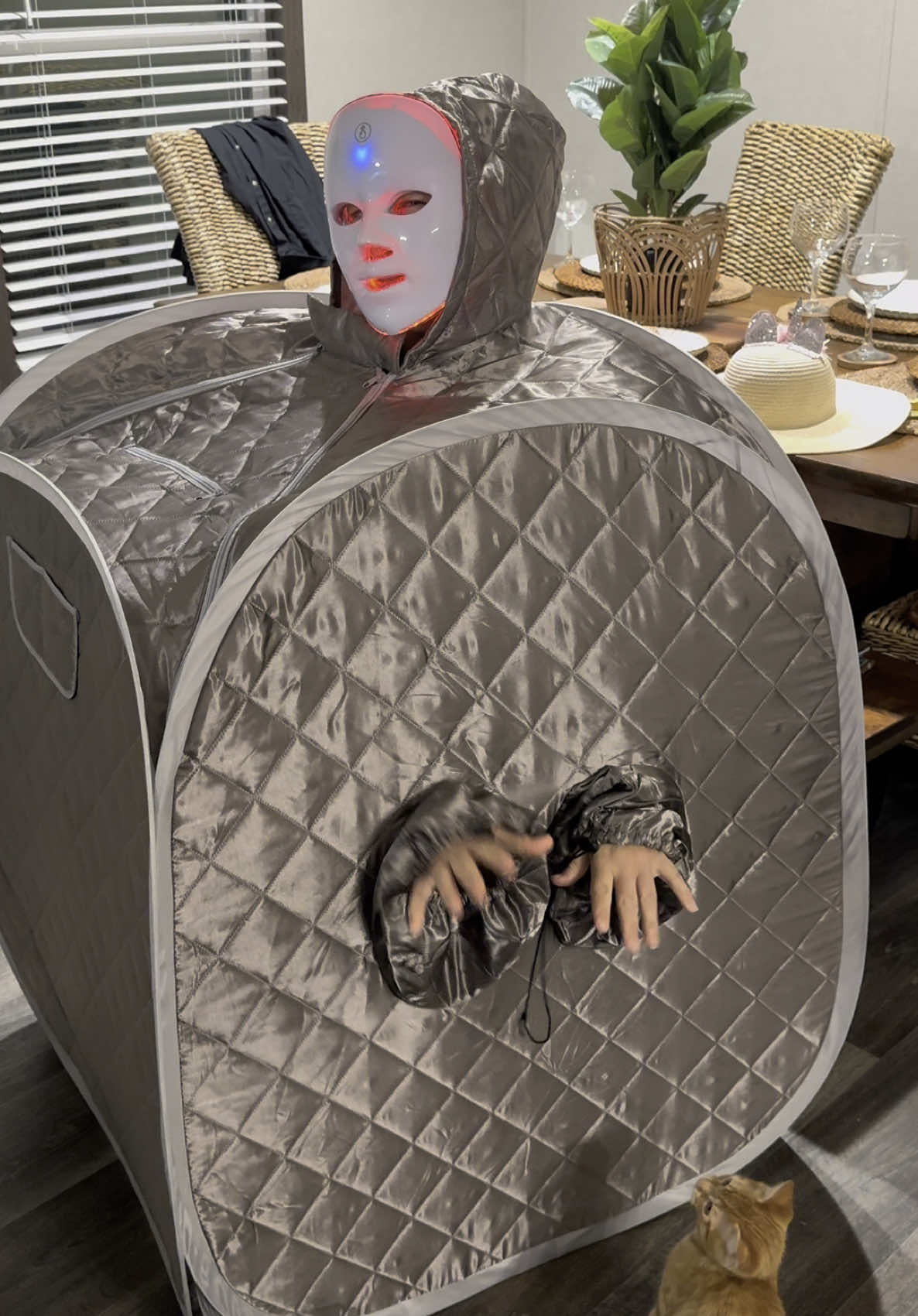 My nightmare. I mean, nighttime beauty routine. 