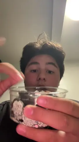 PSA: EAT DARK CHOCOLATE NONPAREILS #chocolate