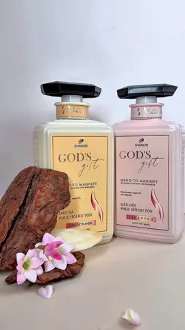God’s Gift - Chuẩn salon tại nhà #svanor #svanorvietnam #daugoi #chamsoctoc #toc 