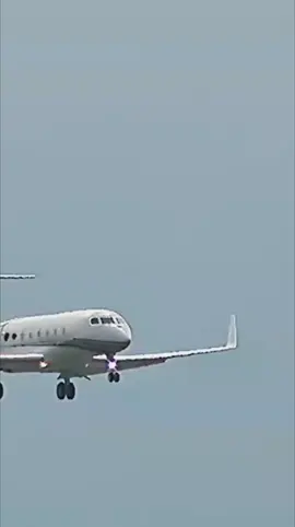 Private jet Landing at London Heathrow airport #private #jet #aviation #landing #london #viral #heathrow 