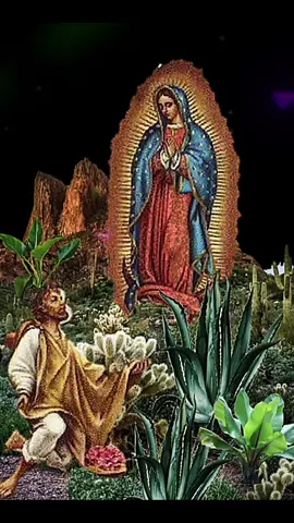 Este video ba de dicado para todos mis seguidores Dios me los vendiga siempre 🙏 y la Virgencita de guadalupe los cubra con su manto 🌈 AMÉN Gratitud 🙏 🙌 ♥️ les doy las gracias cada uno de ustedes 😇 🙌 🙏 Gratitud 🙌 🙏 💖 ✨️ 💕 ♥️ 🙌 Qué tegan un excelente feliz Descansó🌷 ✨️💫🙏🙏🙏💫✨️🌷