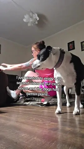 #justkarissa #fyp #dogs #dogsoftiktok 
