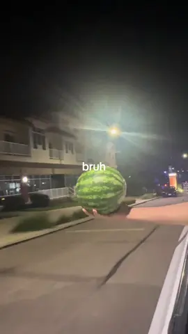 #fypシ #watermelon #real 