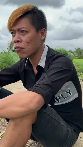 Sự thật quá bất ngờ !